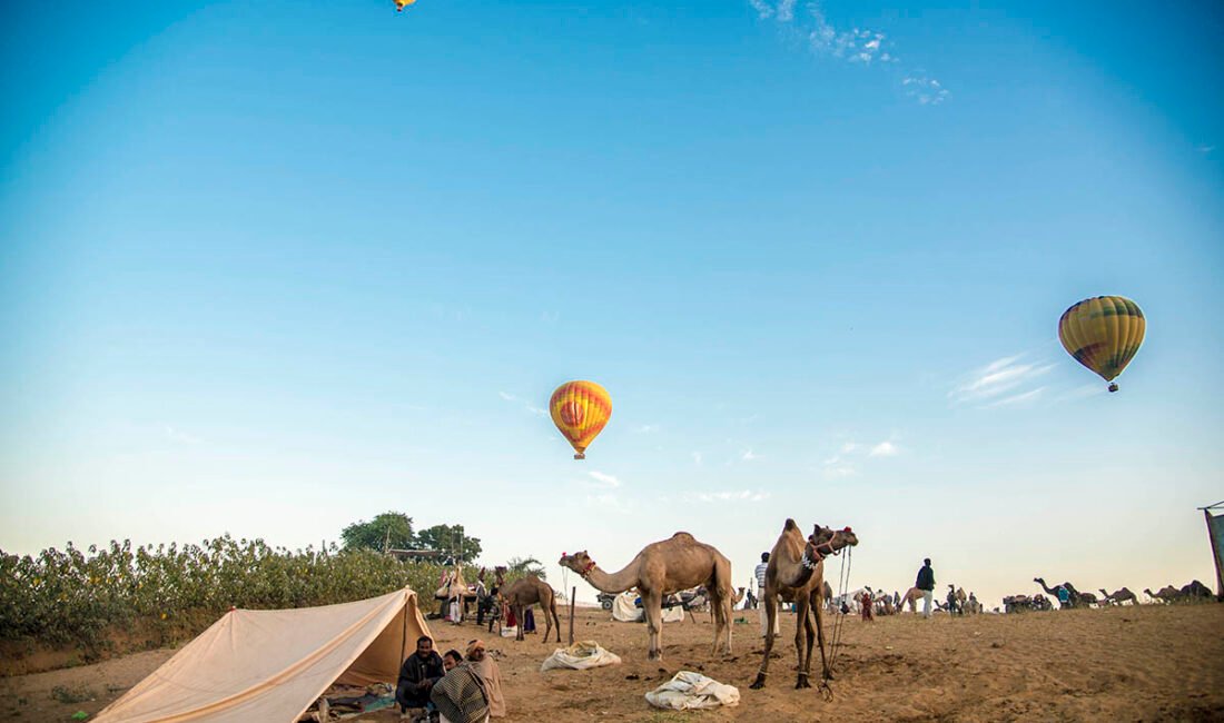 Hot air balloons flying over camels at Pushkar Camel Fair