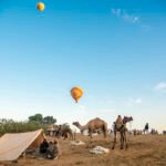 Hot air balloons flying over camels at Pushkar Camel Fair