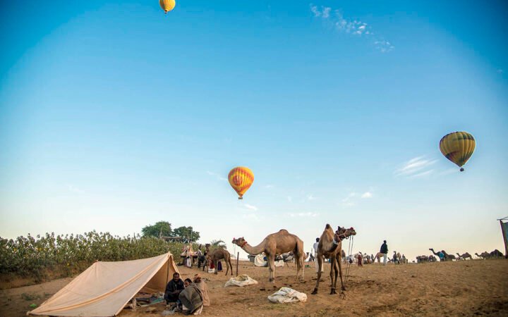 Hot air balloons flying over camels at Pushkar Camel Fair